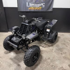 Yamaha Banshee 2006