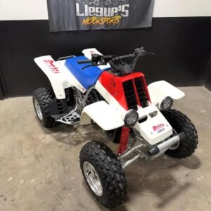 Yamaha Banshee 1996
